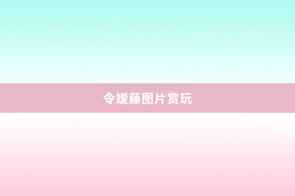 令嫒藤图片赏玩