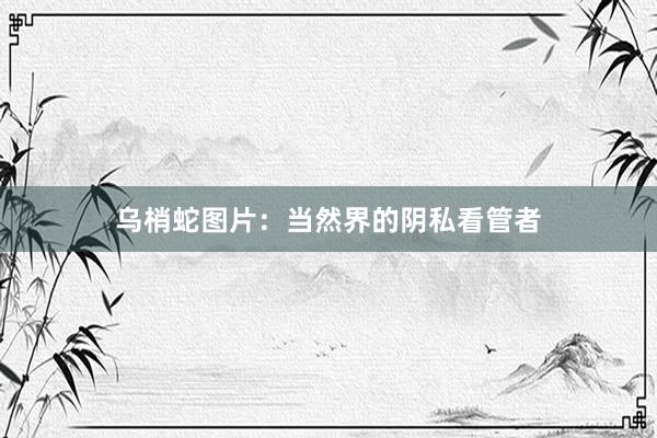 乌梢蛇图片：当然界的阴私看管者
